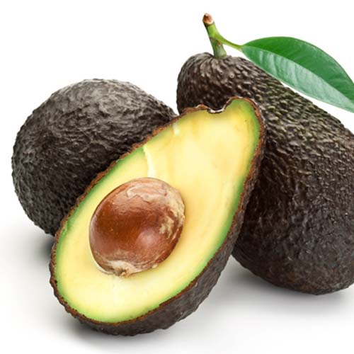 Hass avocado
